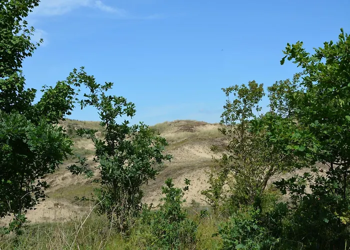 In Near Vakantiehuis