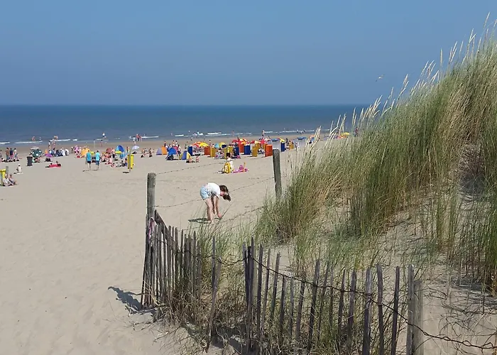 Vakantiehuis In Near Noordwijkerhout