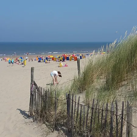 Feriehus In Near Noordwijkerhout